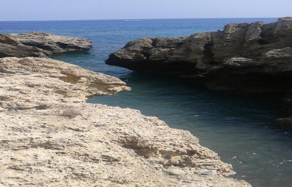 Amarakos Guesthouse Λειτουργεί Υπό Νέα Διεύθυνση Kato Akourdalia Bagian luar foto